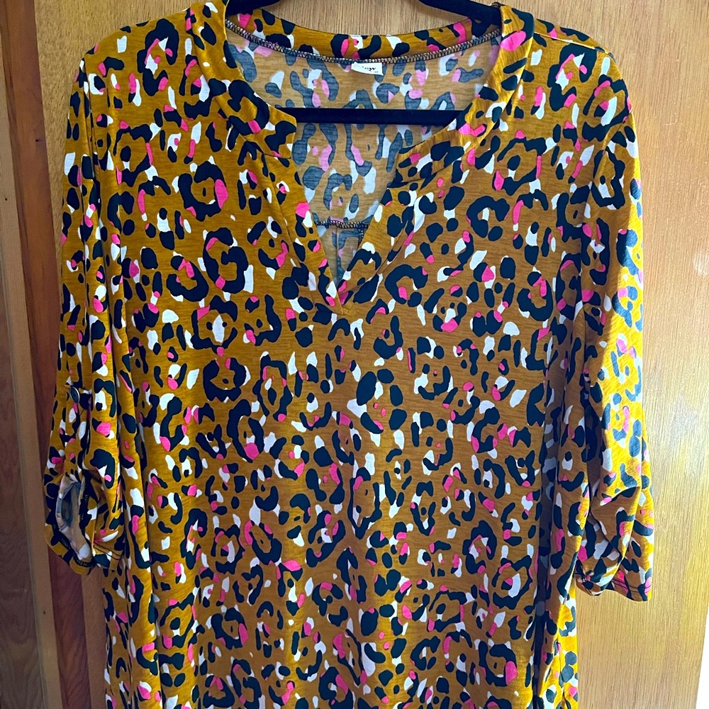 Plus Size Tunic, 3X